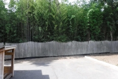 Bamboo Barrier 3 Bamboo Barrier 3