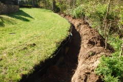Bamboo Barrier 9 Bamboo Barrier 9