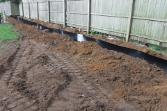 Bamboo Barrier 15 Bamboo Barrier 15