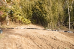 Bamboo Barrier 19 Bamboo Barrier 19