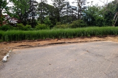Bamboo Barrier 25 Bamboo Barrier 25